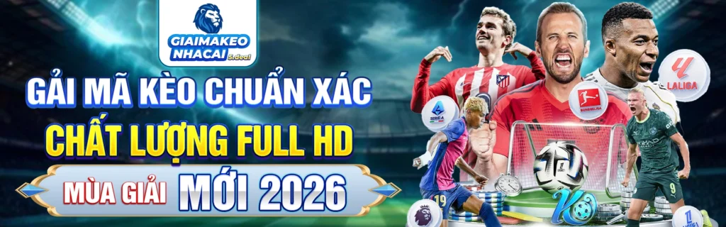 banner giải mã kèo nhà cái chất lượng